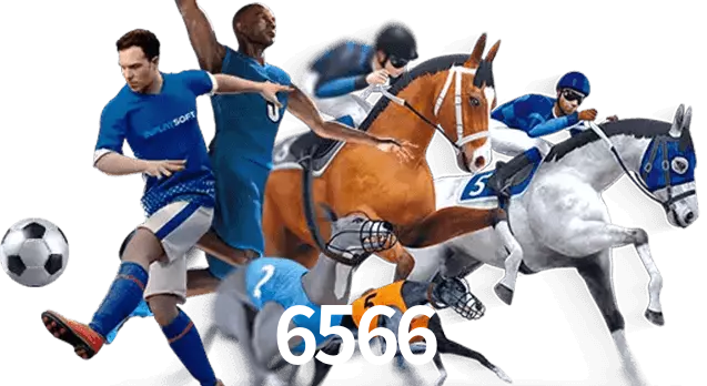 6566
