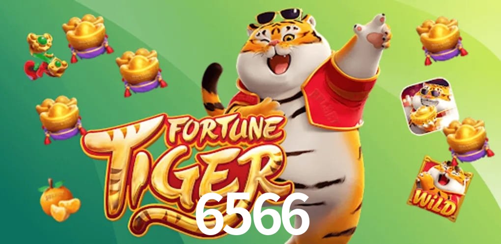 Sports Statistics 6566